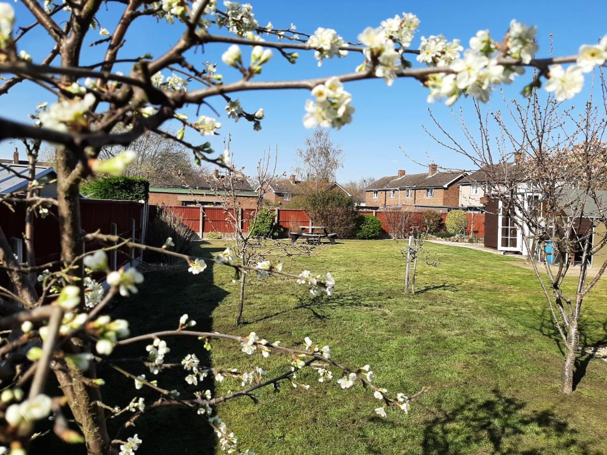 Huge Garden House For Contractors And Families Villa Ollerton Exteriör bild